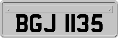 BGJ1135