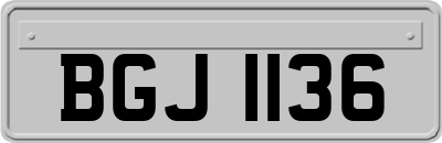 BGJ1136