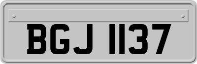BGJ1137