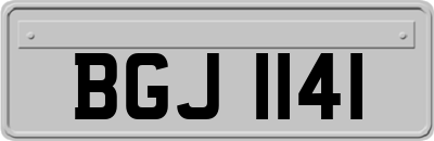 BGJ1141