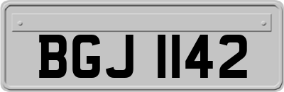 BGJ1142