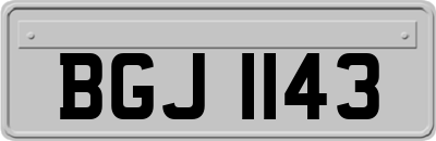 BGJ1143