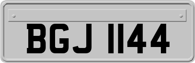 BGJ1144
