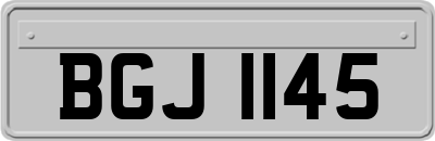 BGJ1145