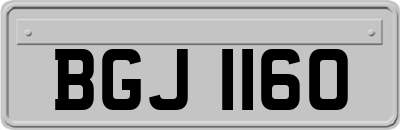BGJ1160