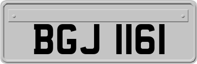 BGJ1161