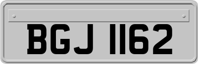 BGJ1162