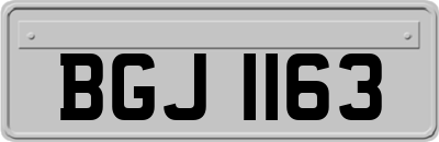 BGJ1163