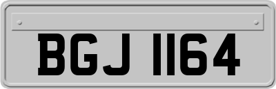BGJ1164