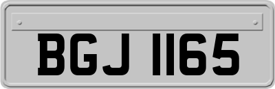 BGJ1165