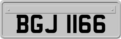 BGJ1166