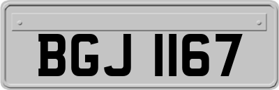 BGJ1167