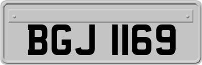 BGJ1169