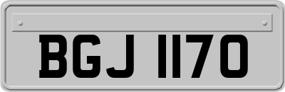 BGJ1170