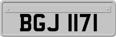 BGJ1171