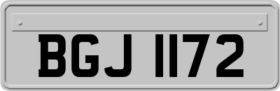 BGJ1172
