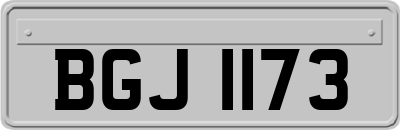 BGJ1173