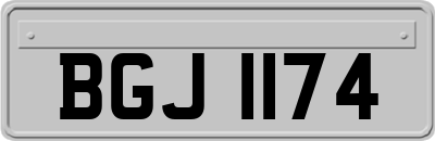 BGJ1174
