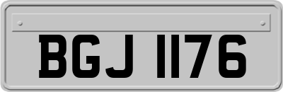 BGJ1176