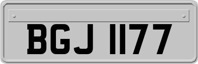 BGJ1177