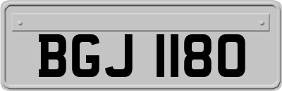 BGJ1180