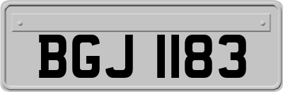 BGJ1183