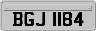 BGJ1184