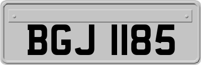 BGJ1185