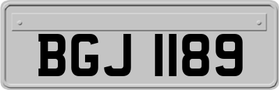 BGJ1189