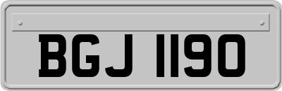 BGJ1190