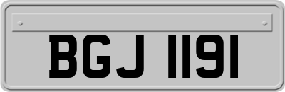BGJ1191