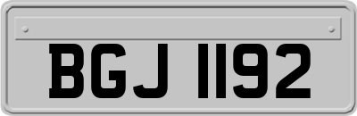 BGJ1192