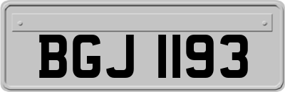BGJ1193