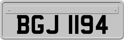 BGJ1194