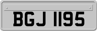 BGJ1195