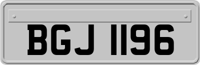 BGJ1196