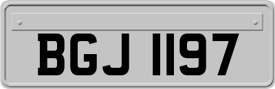 BGJ1197