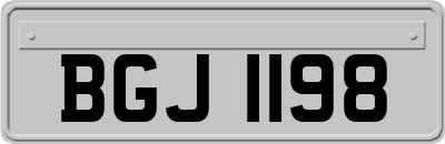 BGJ1198