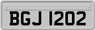 BGJ1202