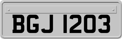 BGJ1203