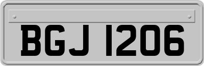 BGJ1206