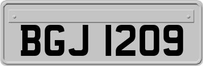 BGJ1209