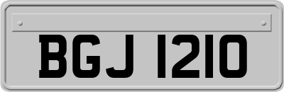 BGJ1210