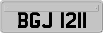 BGJ1211