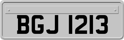 BGJ1213