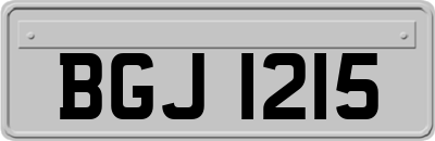 BGJ1215