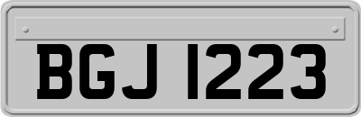 BGJ1223