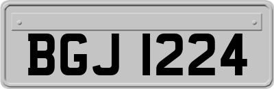 BGJ1224