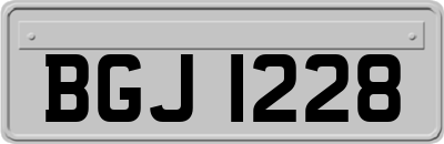 BGJ1228