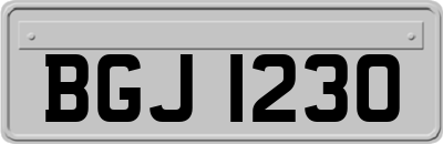 BGJ1230